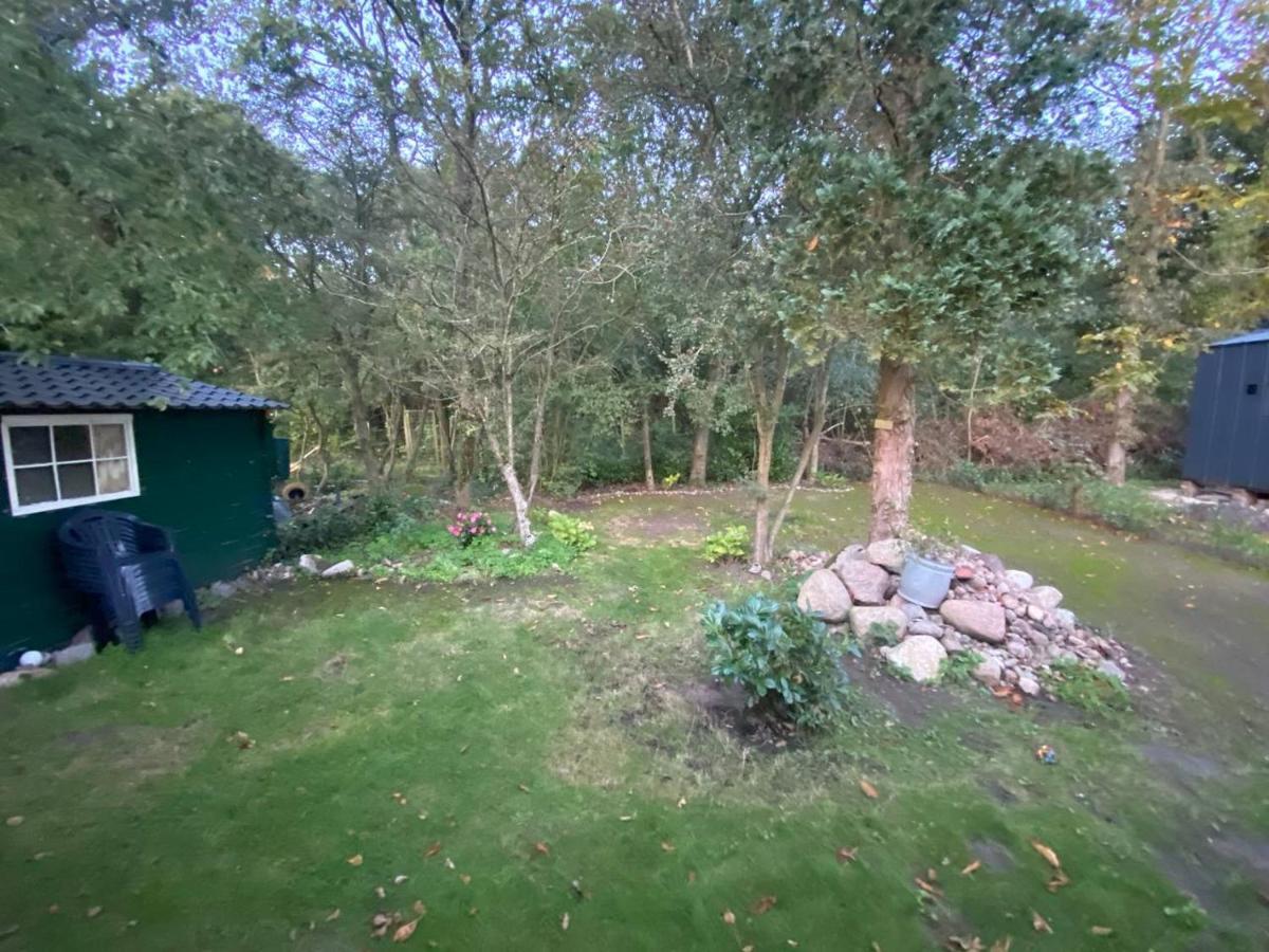 Chalet With Access To The Woods - No 147 Anloo Buitenkant foto